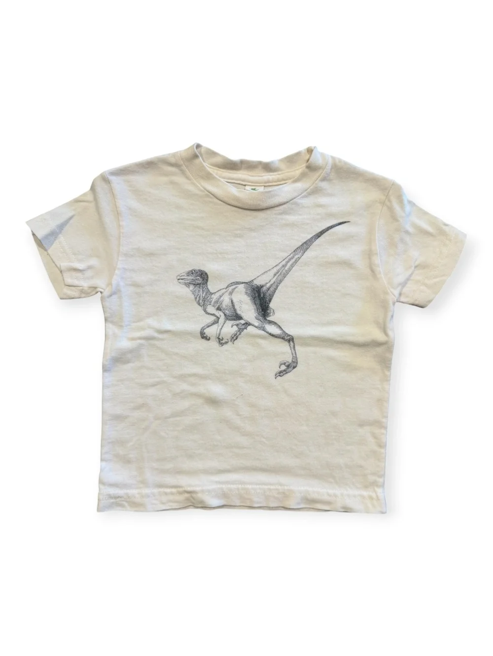 Organic Cotton Dinosaur Print Toddler T-Shirt 12-18 Months